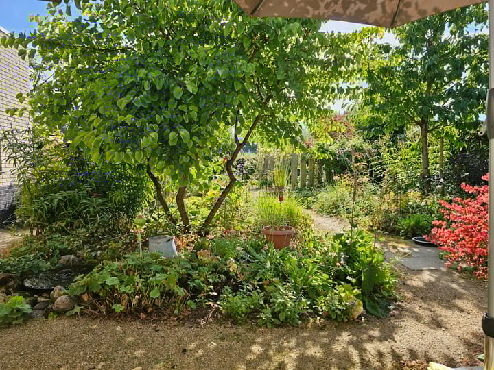 Foto 47 van Eaglelaan 7