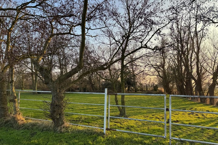 Foto 12 van Schipperslaan 2