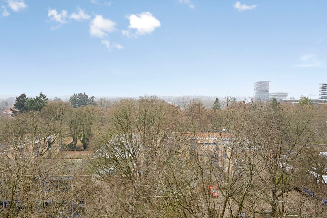 Foto 2 van Henri Dunantlaan 179