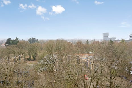 Henri Dunantlaan 179 secondary image