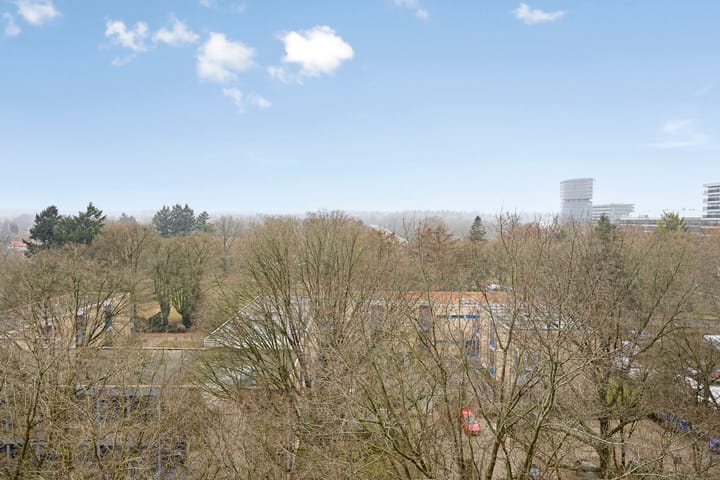 Foto 2 van Henri Dunantlaan 179