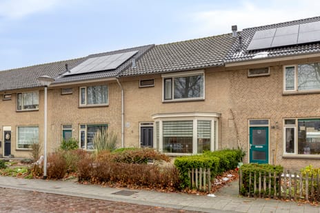 undefined main image