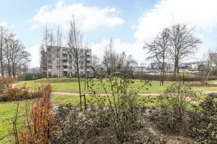 Foto 15 van Europalaan 255