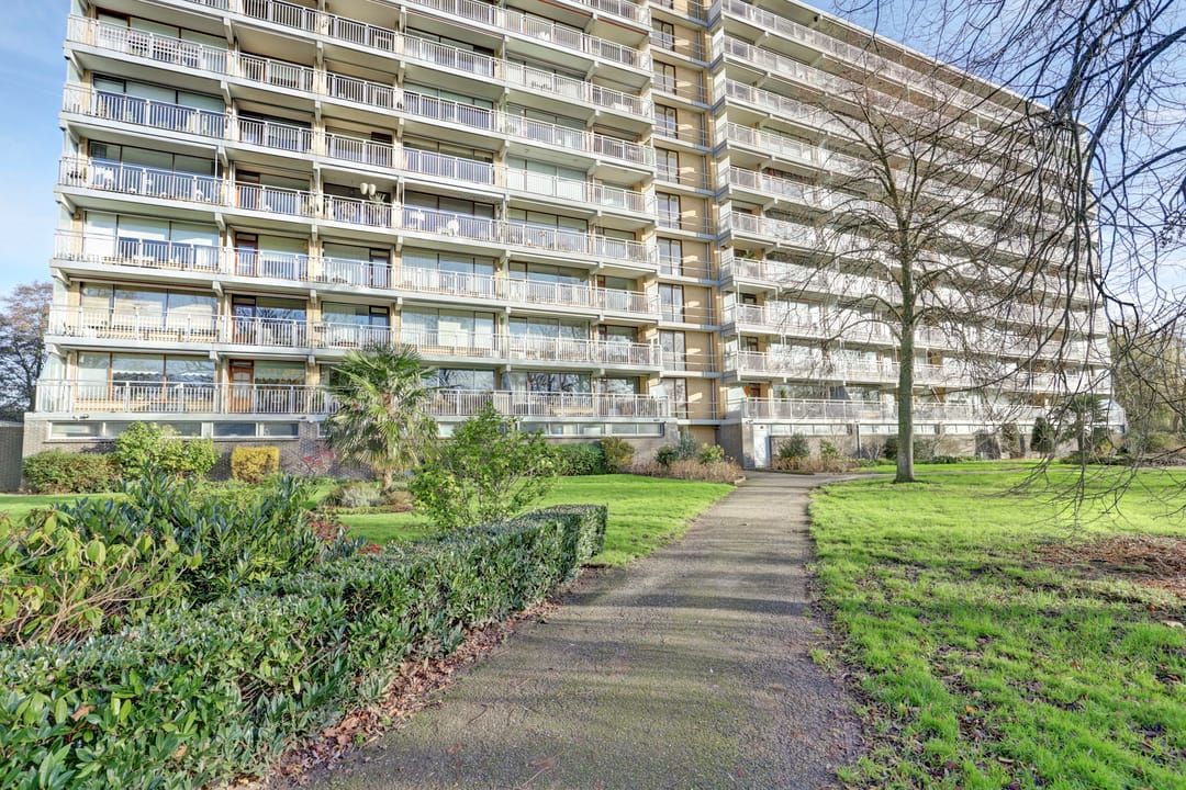 Foto 1 van Seringenplantsoen 101