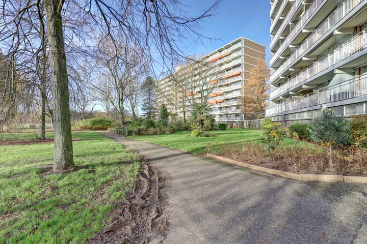 Foto 2 van Seringenplantsoen 101