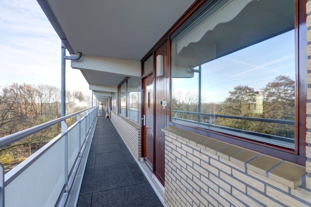 Foto 8 van Seringenplantsoen 101