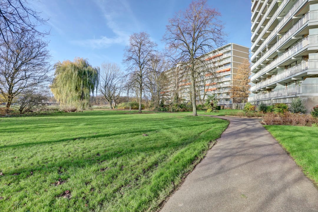 Foto 26 van Seringenplantsoen 101