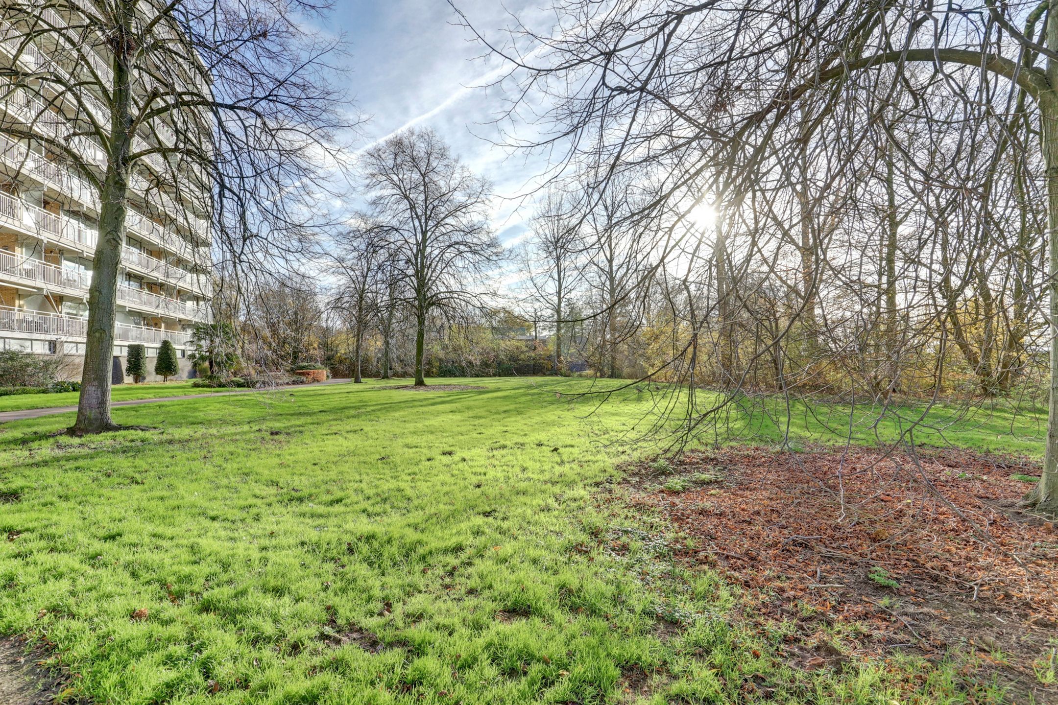 Foto 27 van Seringenplantsoen 101