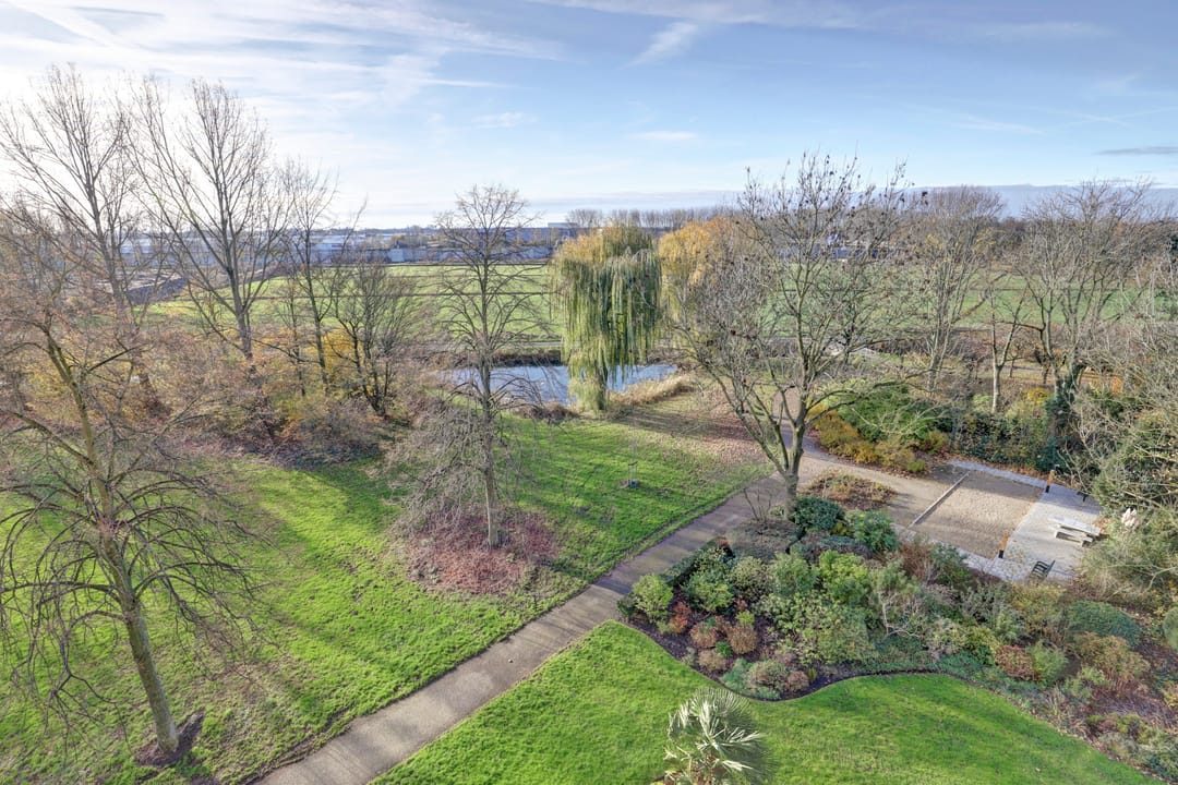 Foto 28 van Seringenplantsoen 101