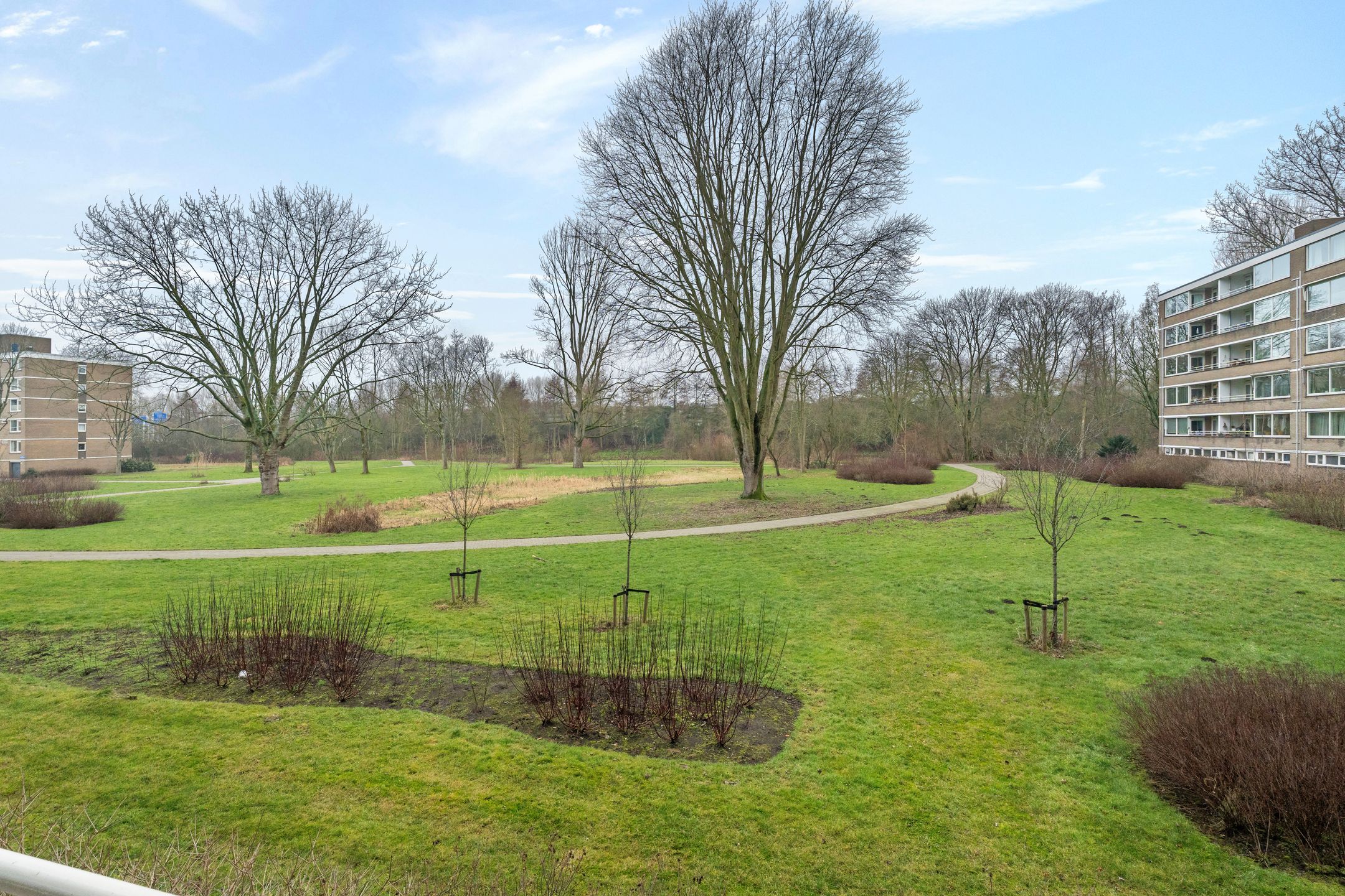 Foto 15 van Adriaan Dortsmanstraat 51