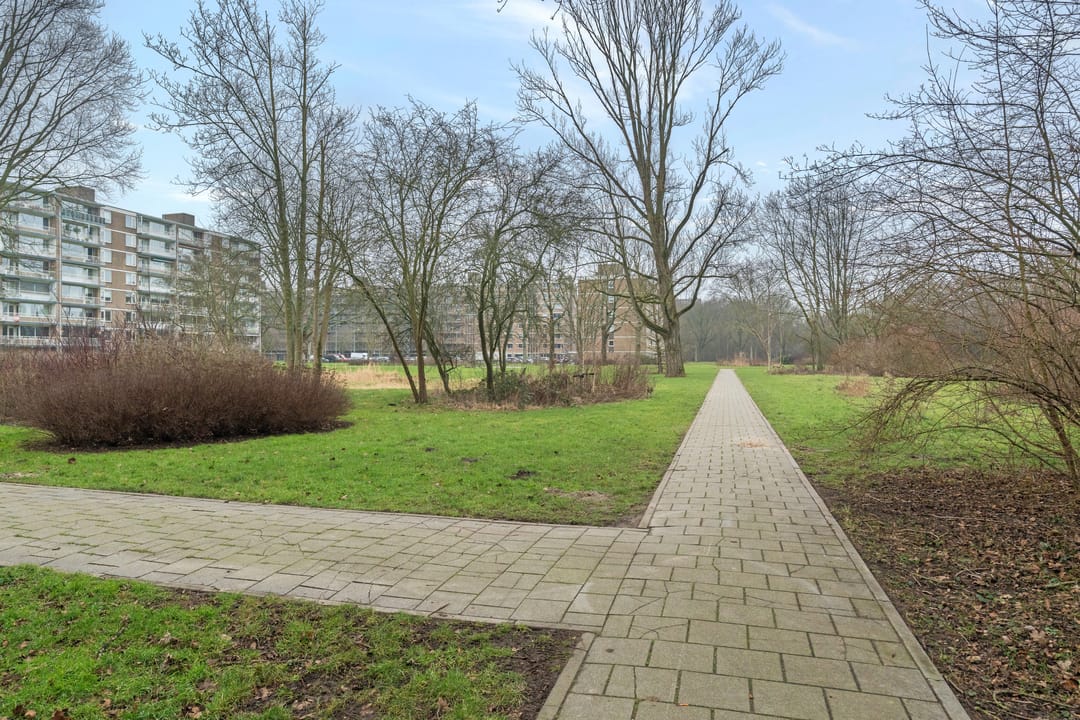 Foto 16 van Adriaan Dortsmanstraat 51