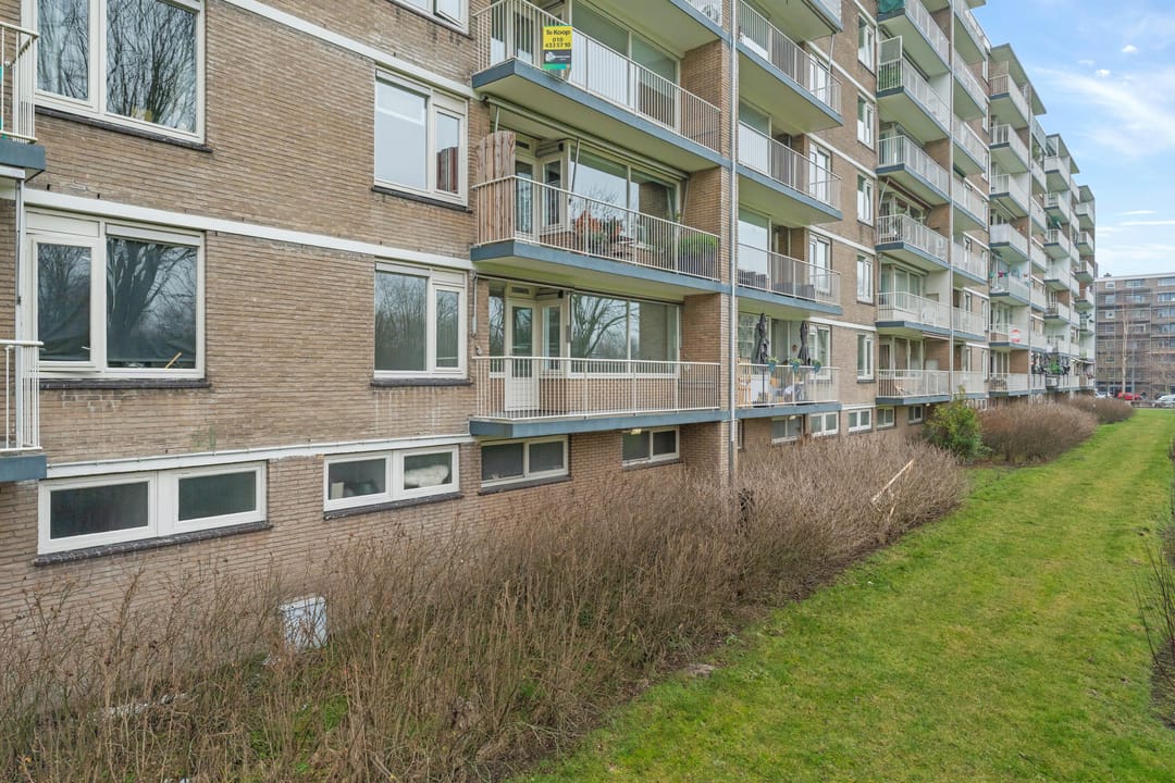 Foto 17 van Adriaan Dortsmanstraat 51