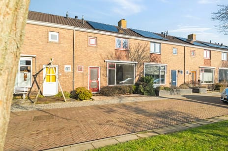 undefined main image