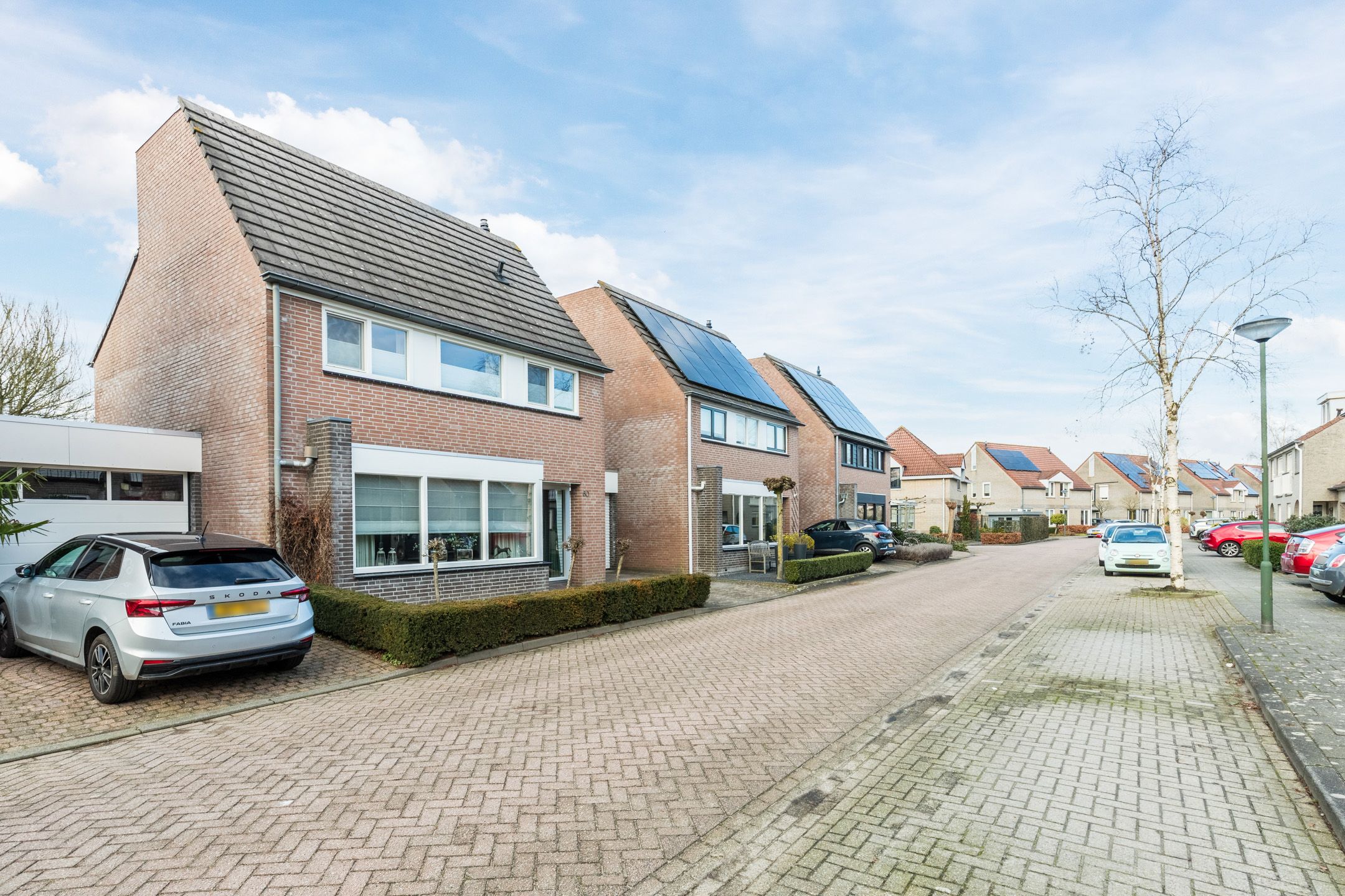 Photo 33 of Bieslook 60