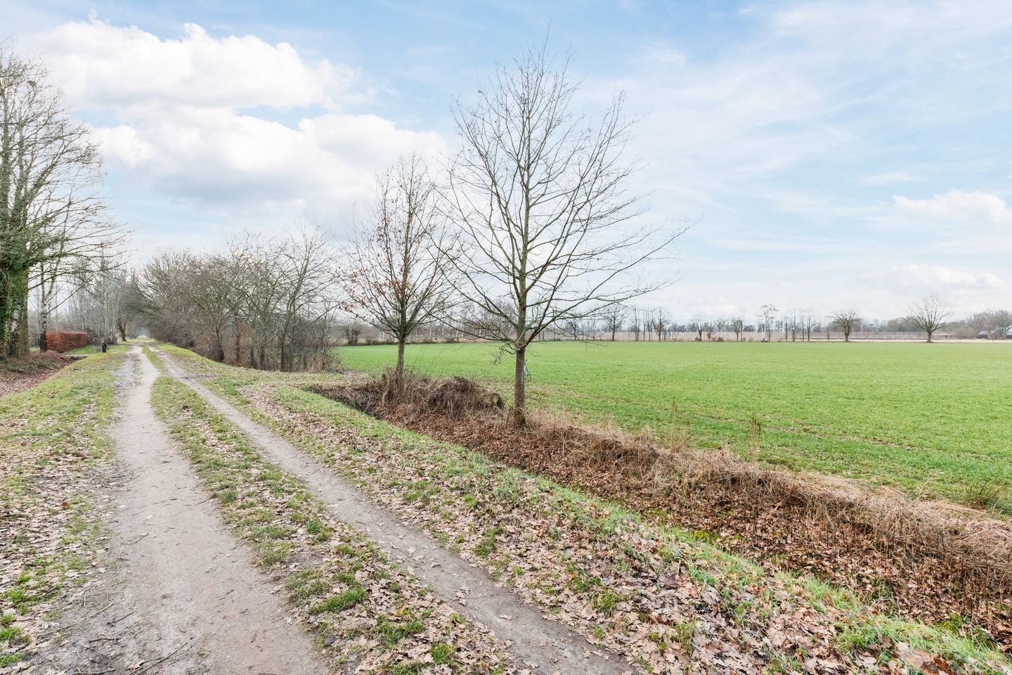 Photo 34 of Bieslook 60