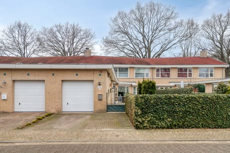 undefined main image