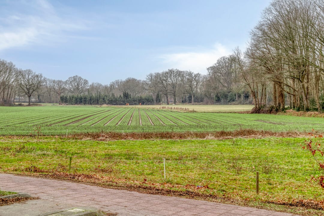 Foto 32 van Olmenstraat 5