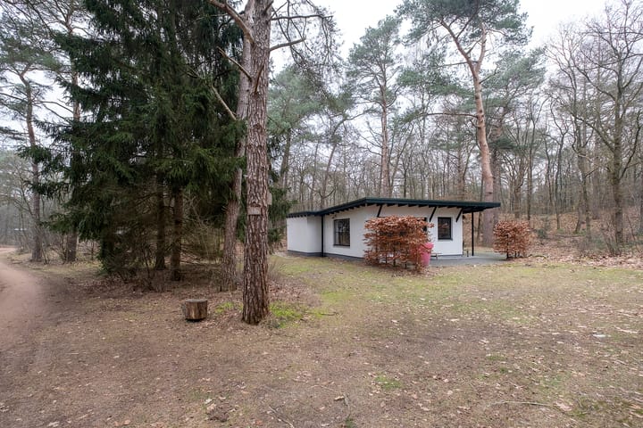 Photo 1 of De Noordster 105-18