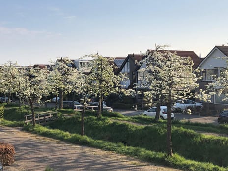 Bikolaan 53 secondary image