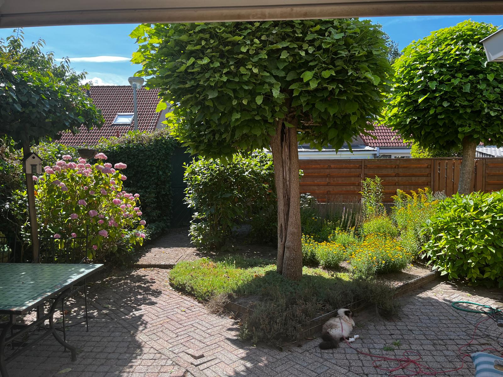 Foto 24 van Bikolaan 53