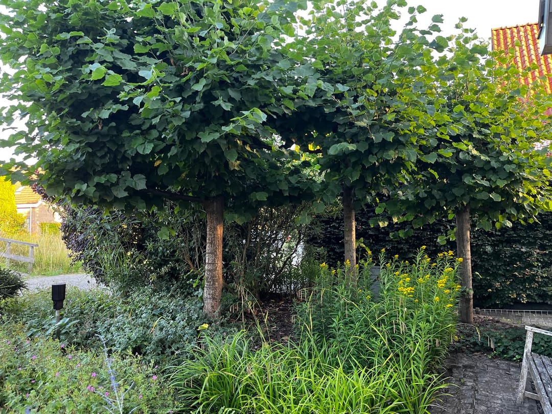 Foto 38 van Bikolaan 53