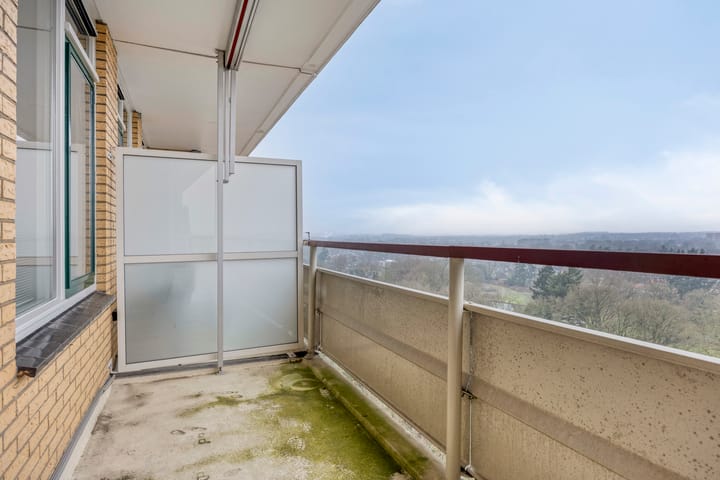 Foto 16 van Henri Dunantlaan 129