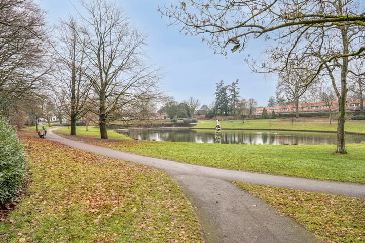 Foto 24 van Henri Dunantlaan 129