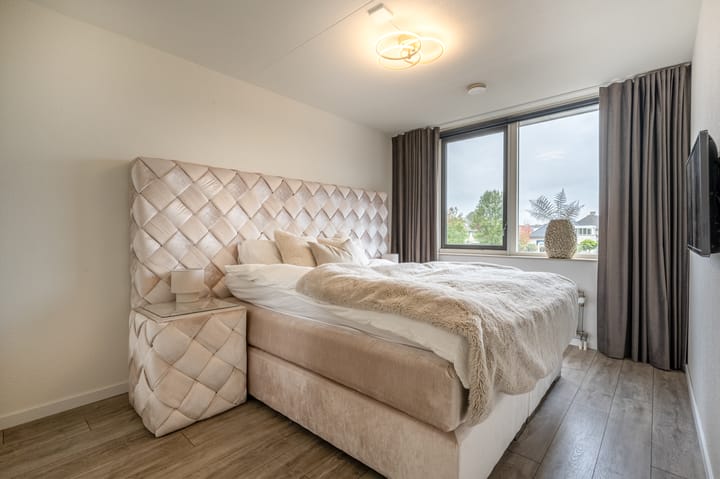 Photo 12 of Edelman 7