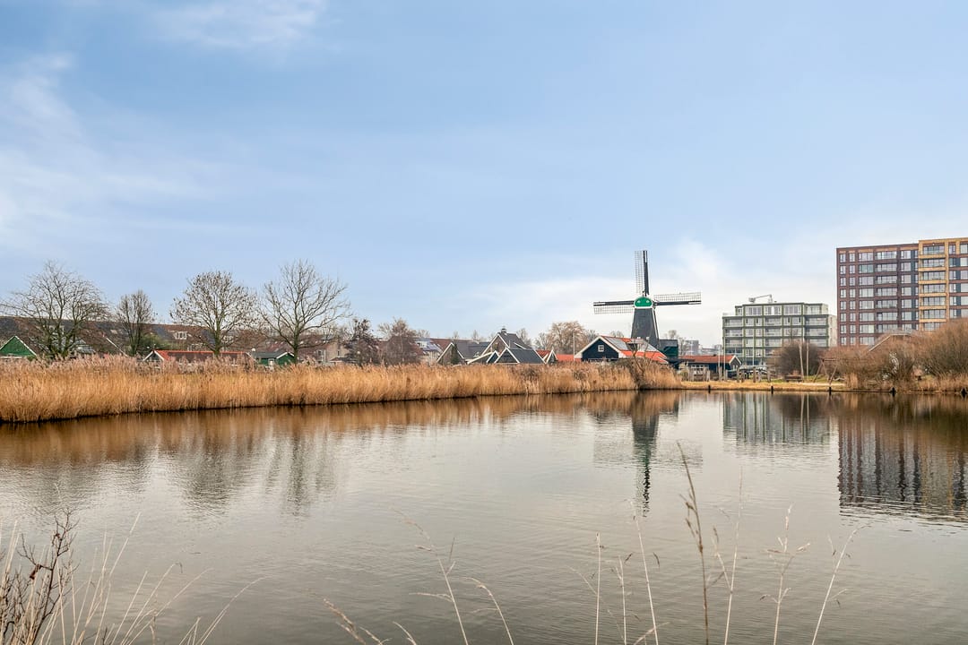 Foto 26 van Eline Vereplantsoen 13