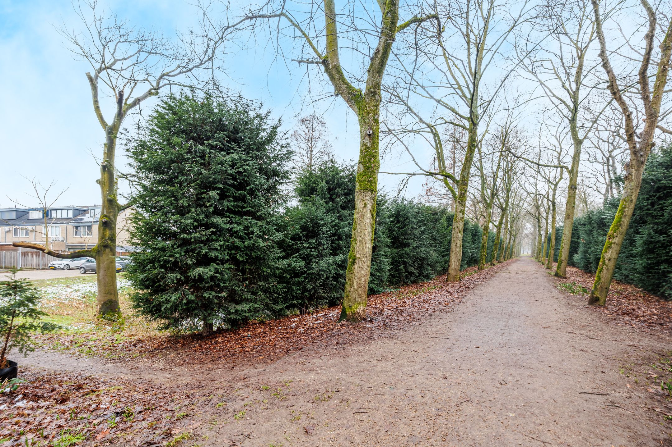 Foto 36 van Zwanenveld 3424