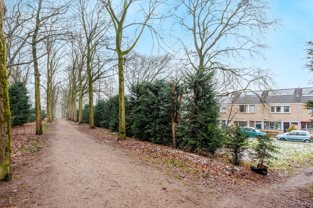 Foto 37 van Zwanenveld 3424