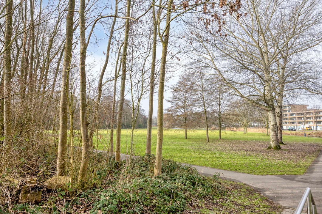 Photo 31 of Oude Raadhuislaan 55-B