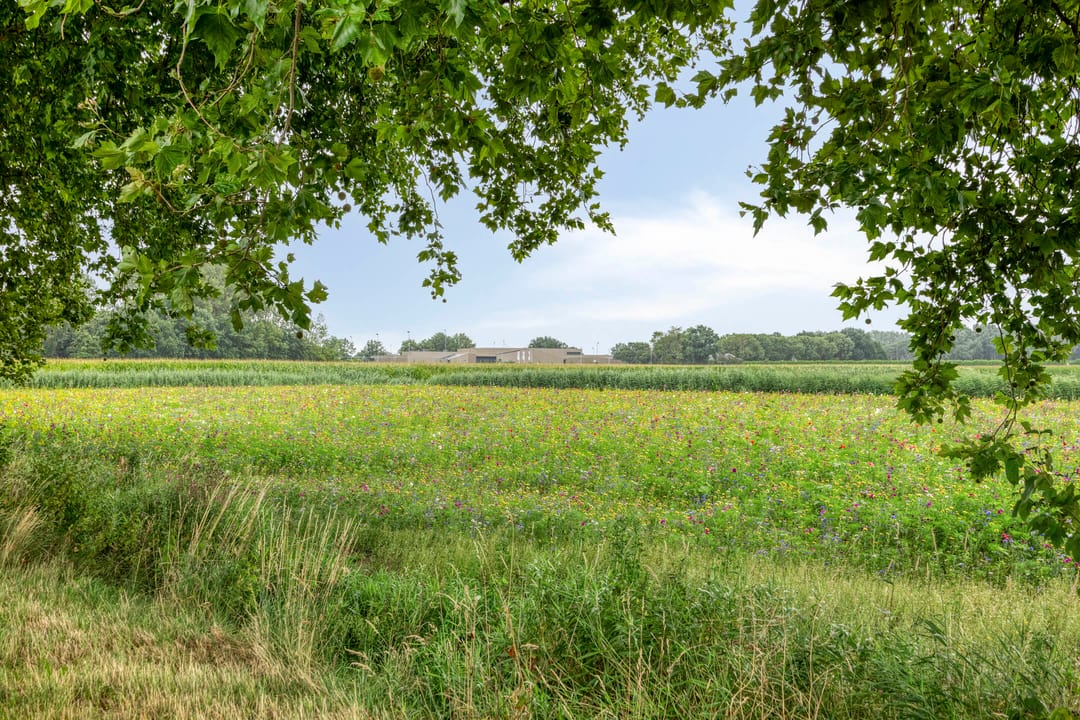 Foto 32 van Klepperheide 7-D