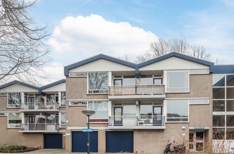 Dagvlinder thumbnail