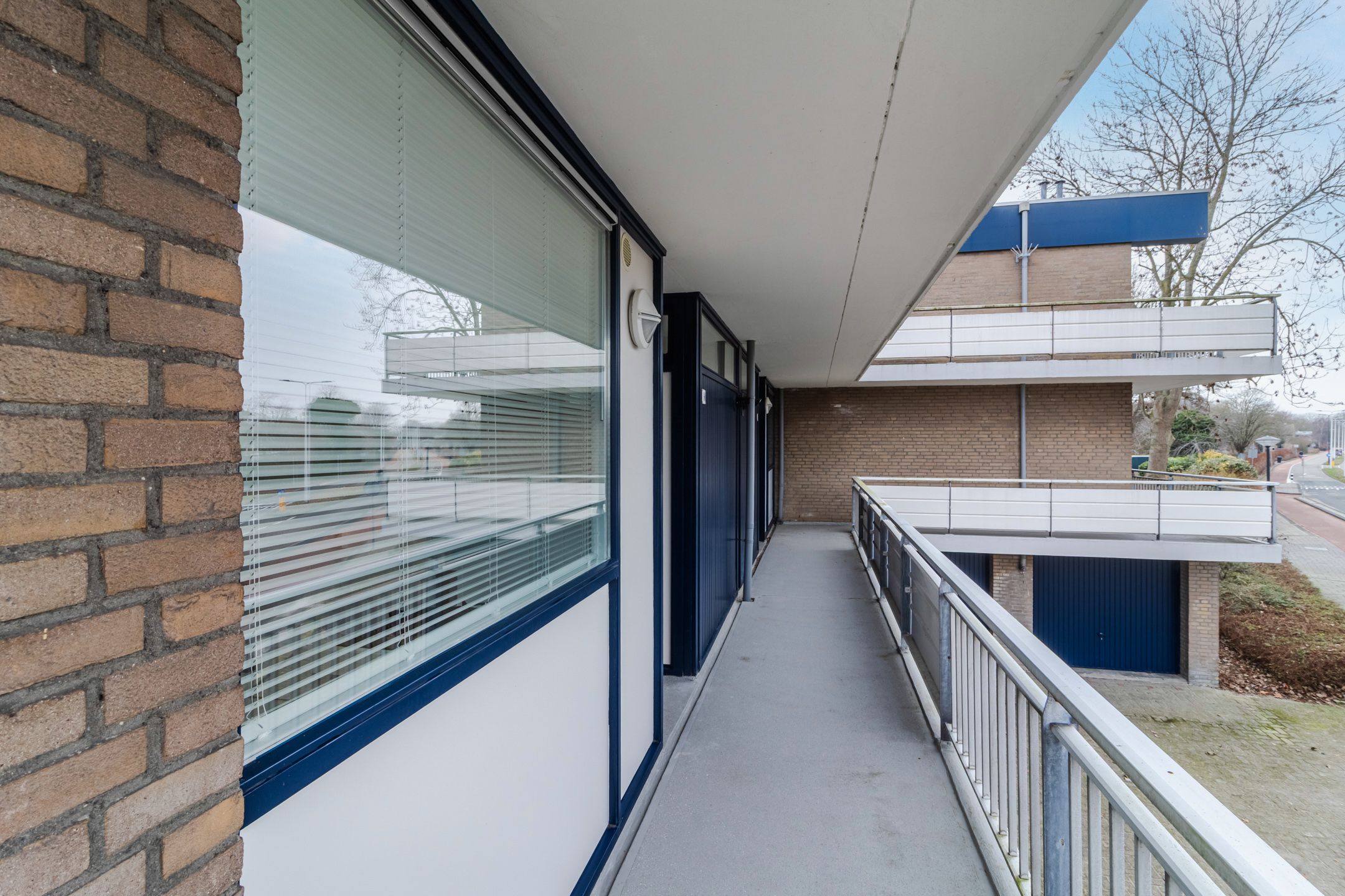 Foto 3 van Dagvlinder 98