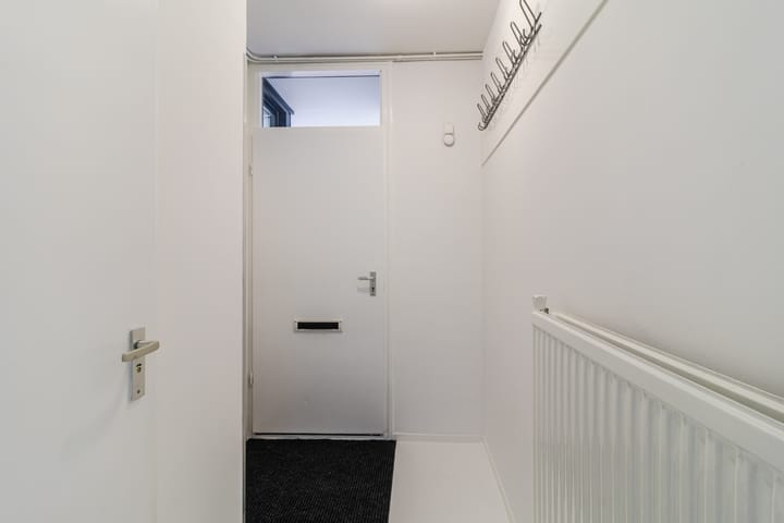 Foto 5 van Dagvlinder 98