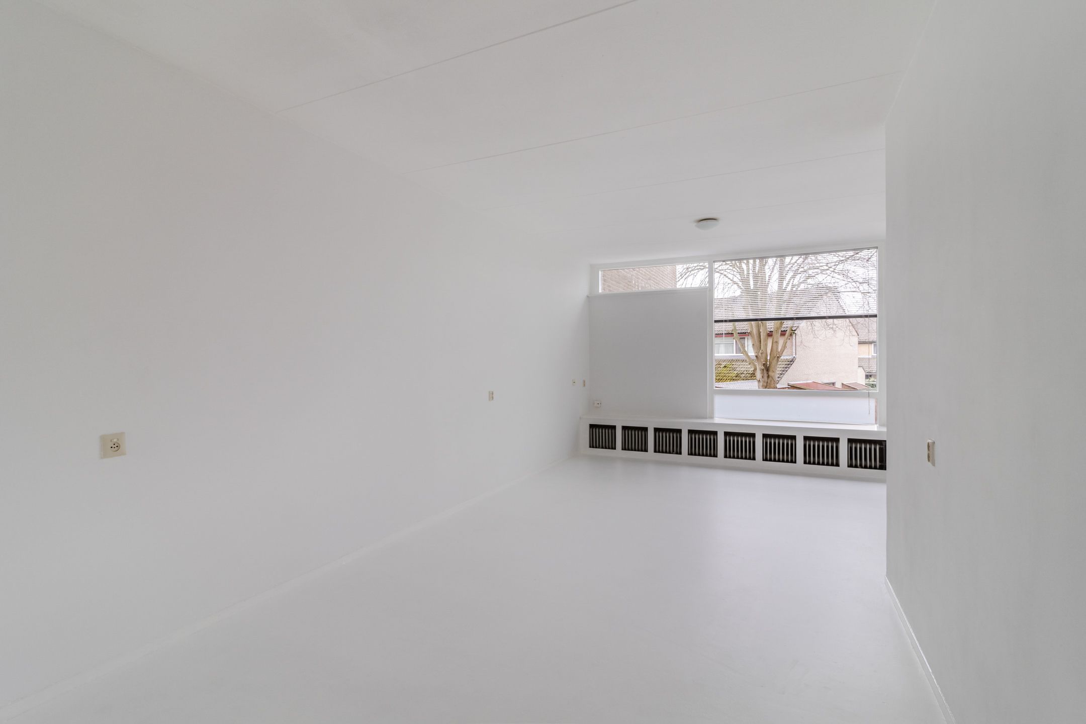 Foto 6 van Dagvlinder 98