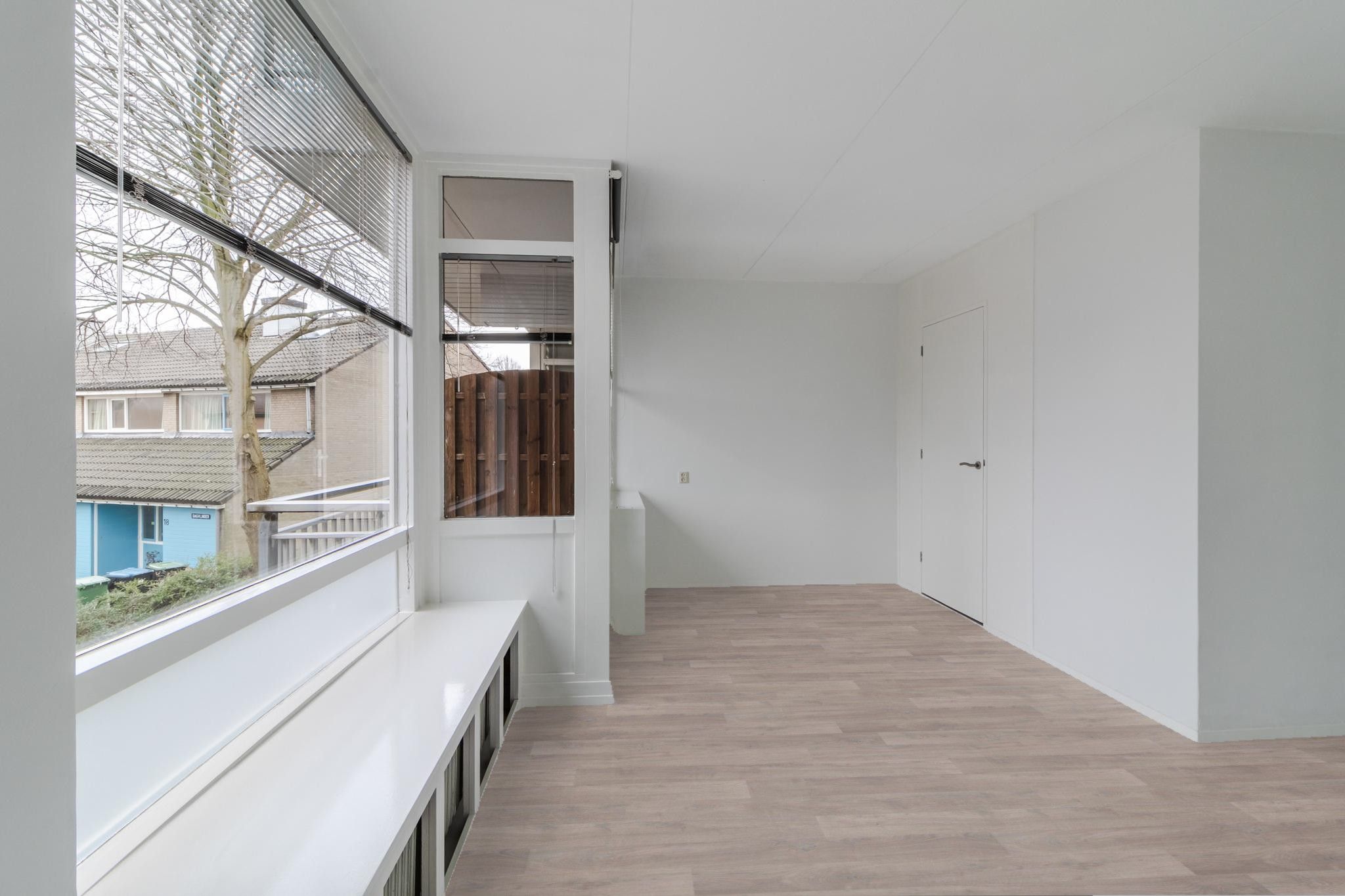 Foto 12 van Dagvlinder 98