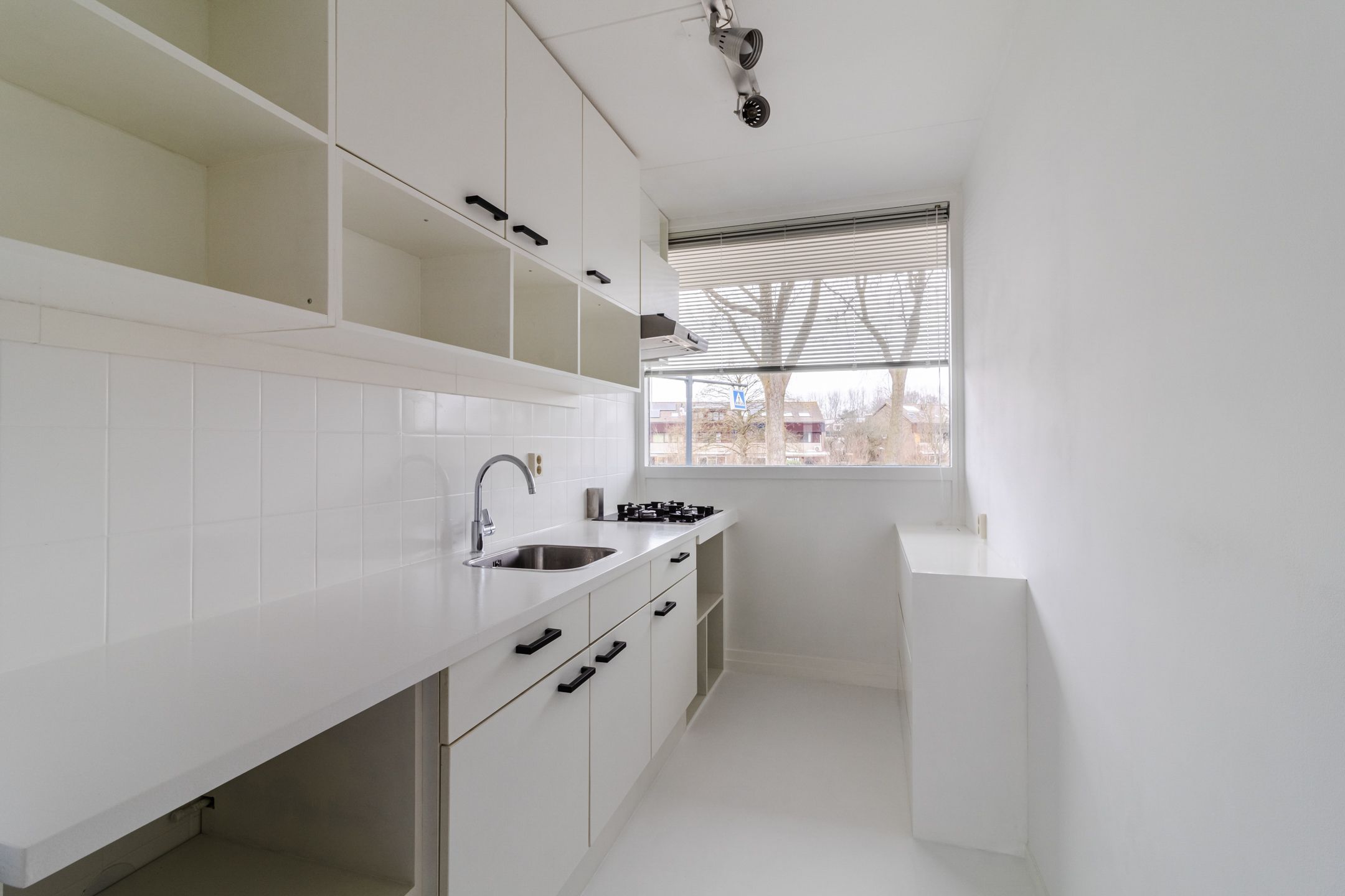 Foto 15 van Dagvlinder 98