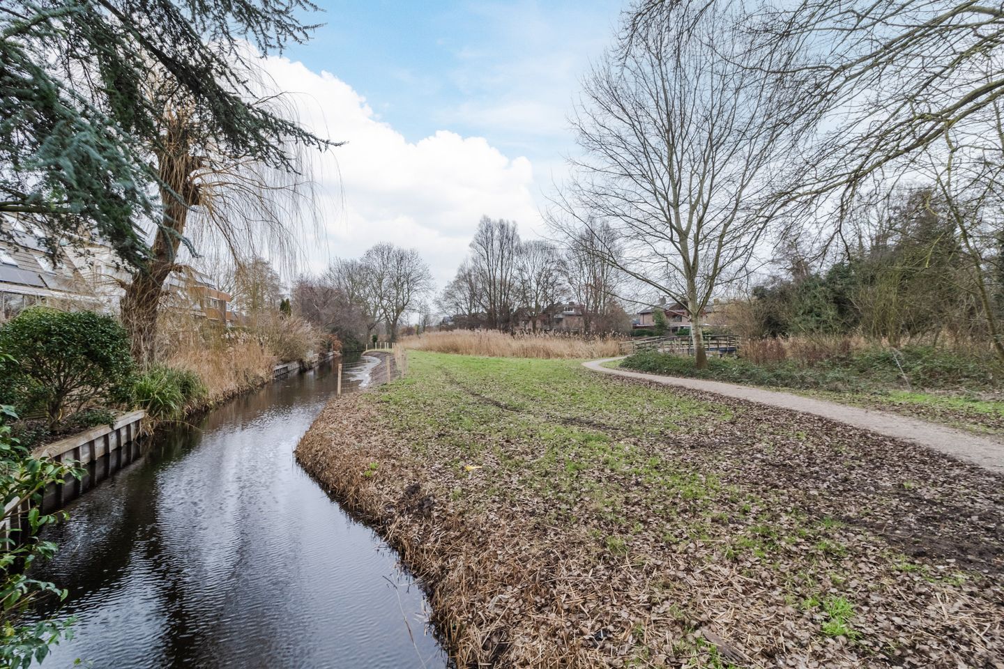 Foto 25 van Dagvlinder 98