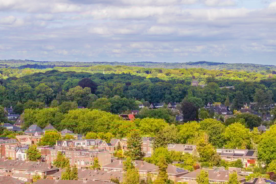 Foto 47 van Velperweg 47-1307