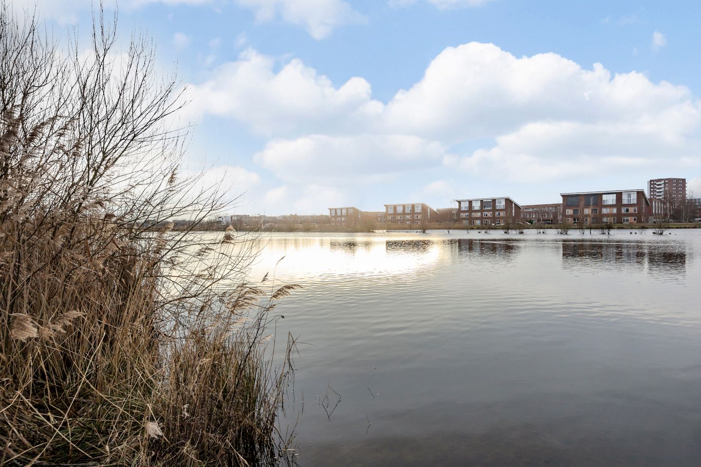 Foto 44 van Burgemeester Verdaasdonkstraat 104