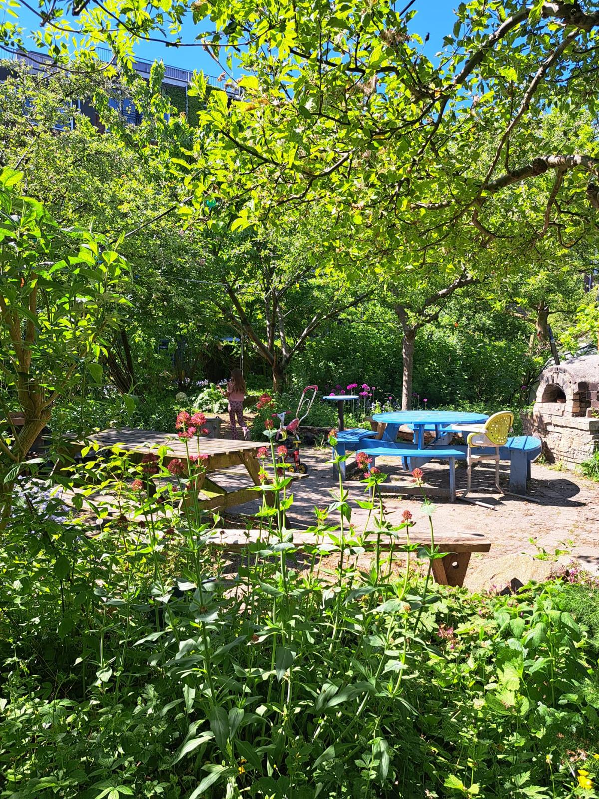 Foto 29 van Tolhuislaan 261