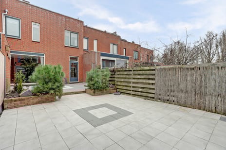 undefined main image