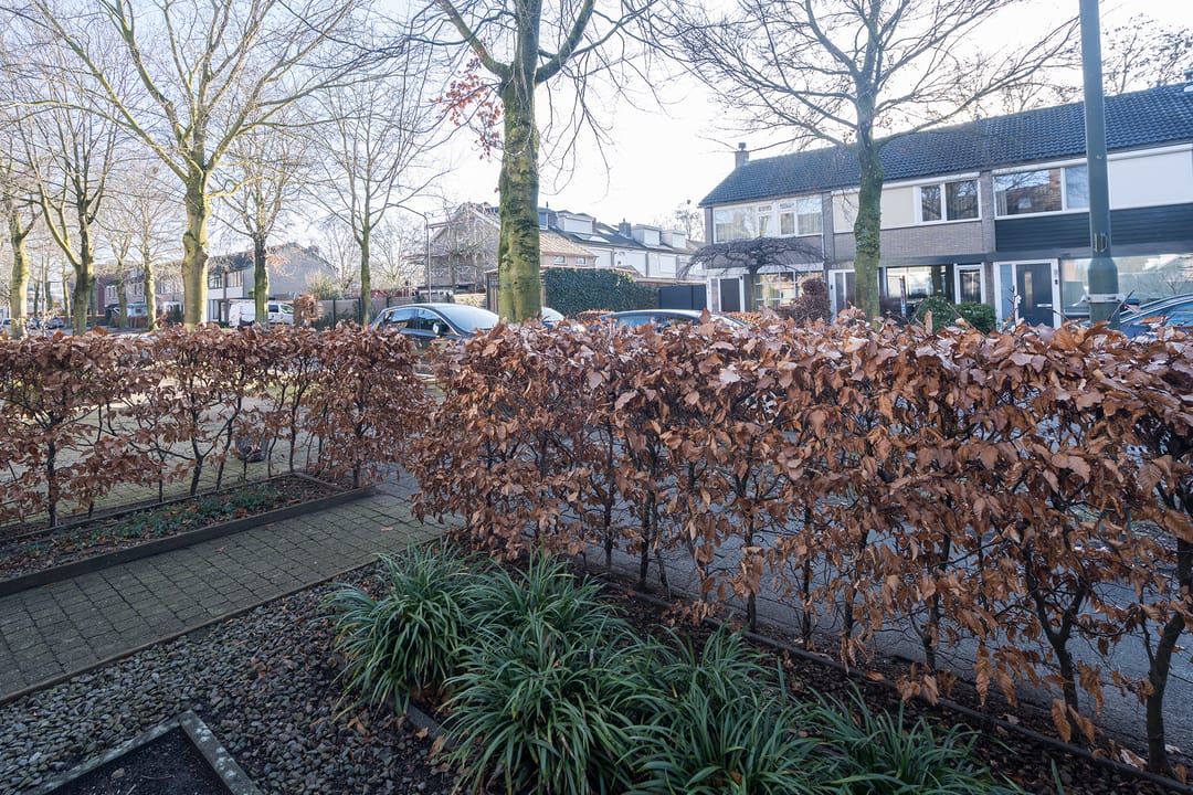 Photo 8 of Beukendreef 110