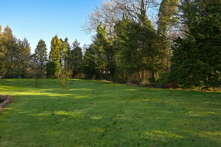 Foto 50 van Bloemcamplaan 53-A