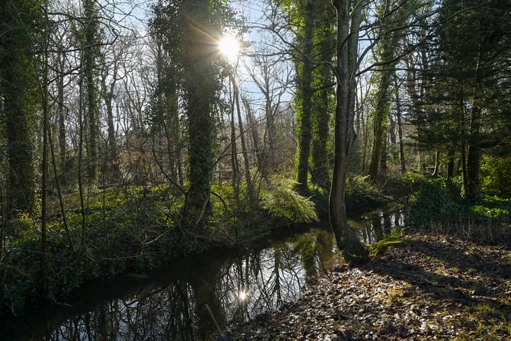 Foto 51 van Bloemcamplaan 53-A