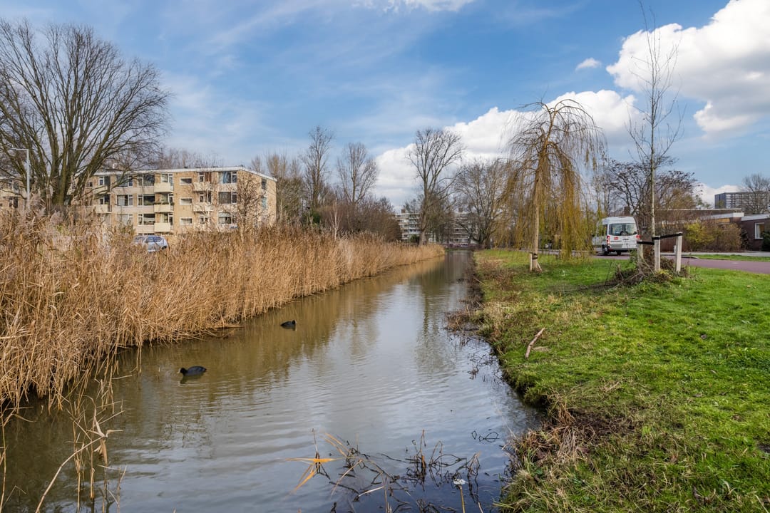 Foto 32 van Van Steenwinckelstraat 18