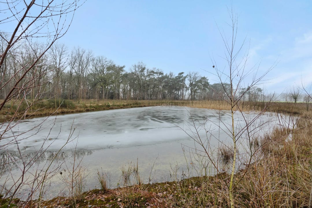 Foto 7 van Landgoed De Berkt - Bouwkavel 1