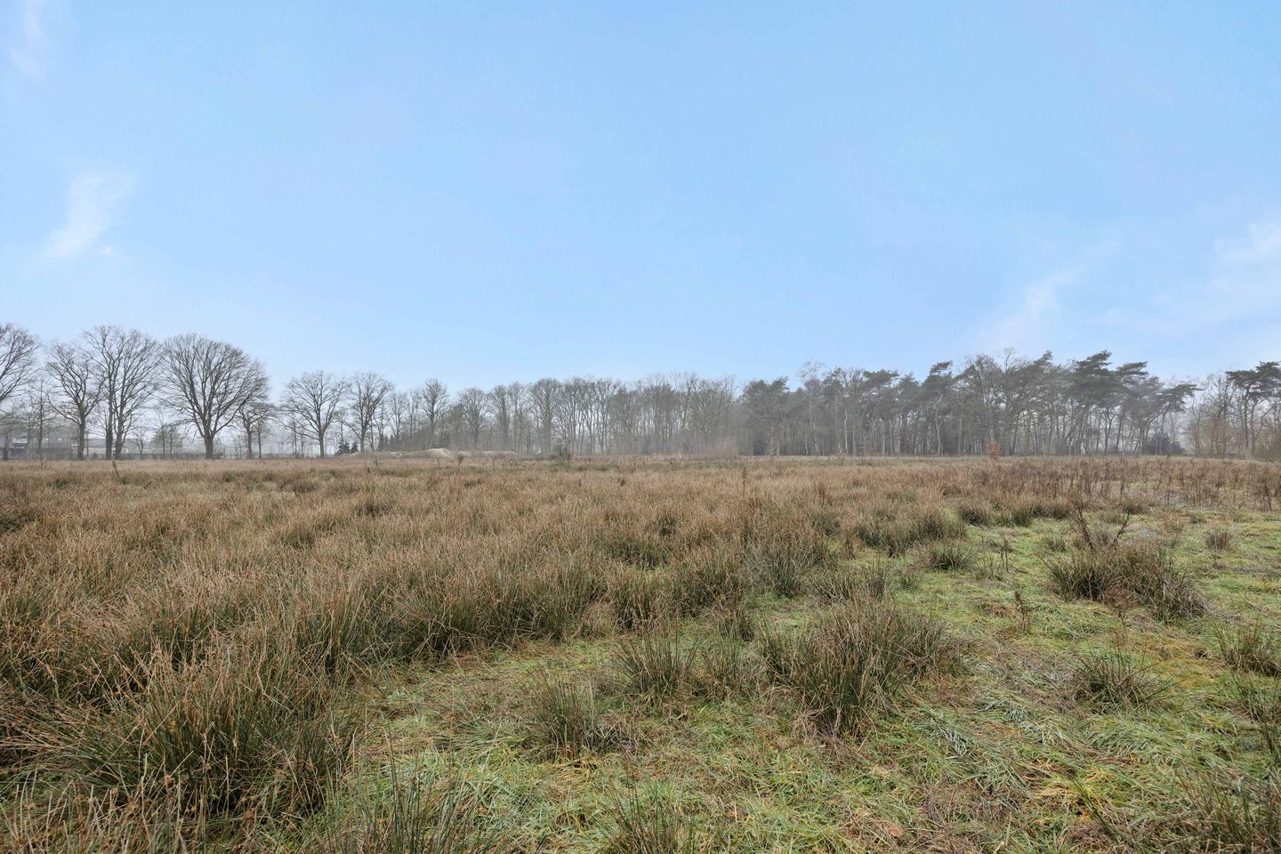 Foto 10 van Landgoed De Berkt - Bouwkavel 1